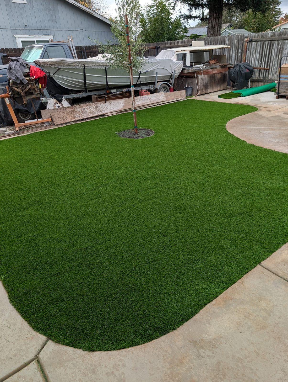 A generous lawn and curved edging make the backyard feel open and inviting.