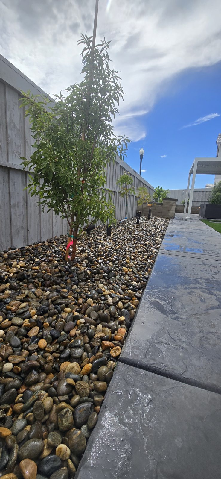 A planted strip softens the edge of the paved garden passage.