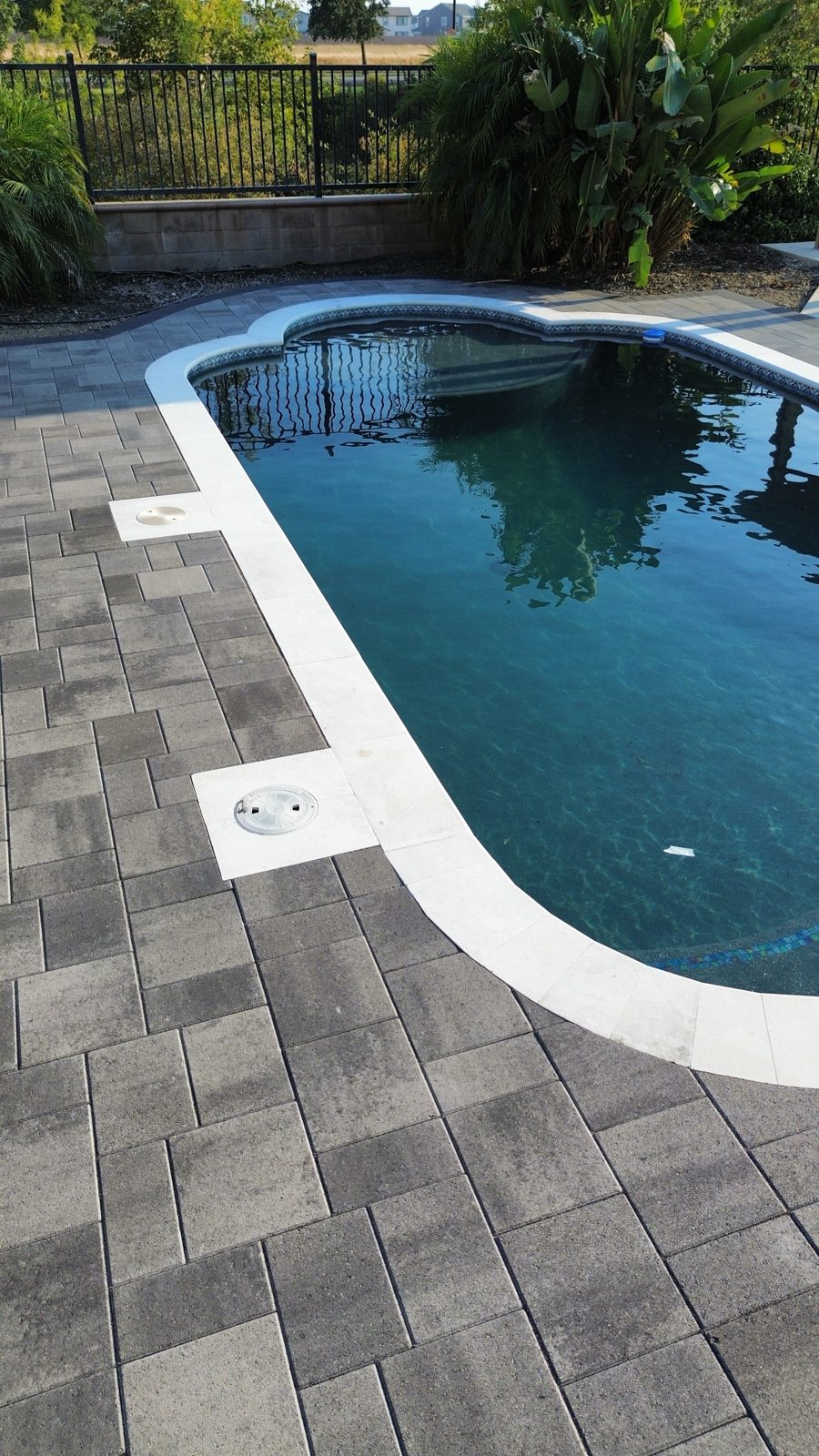 A curved pool edge meets a neatly finished gray paver surround.