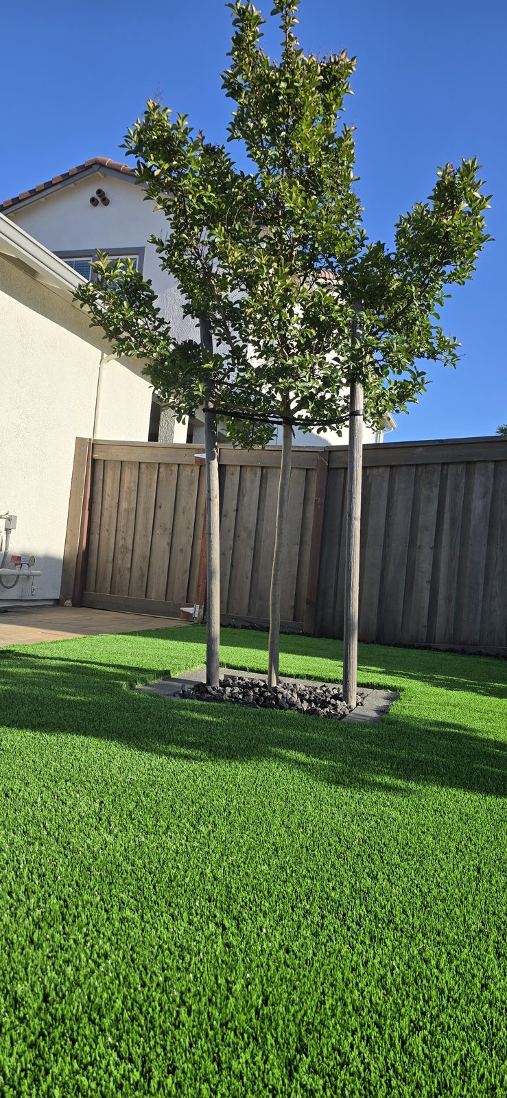 Planting & Landscape Details