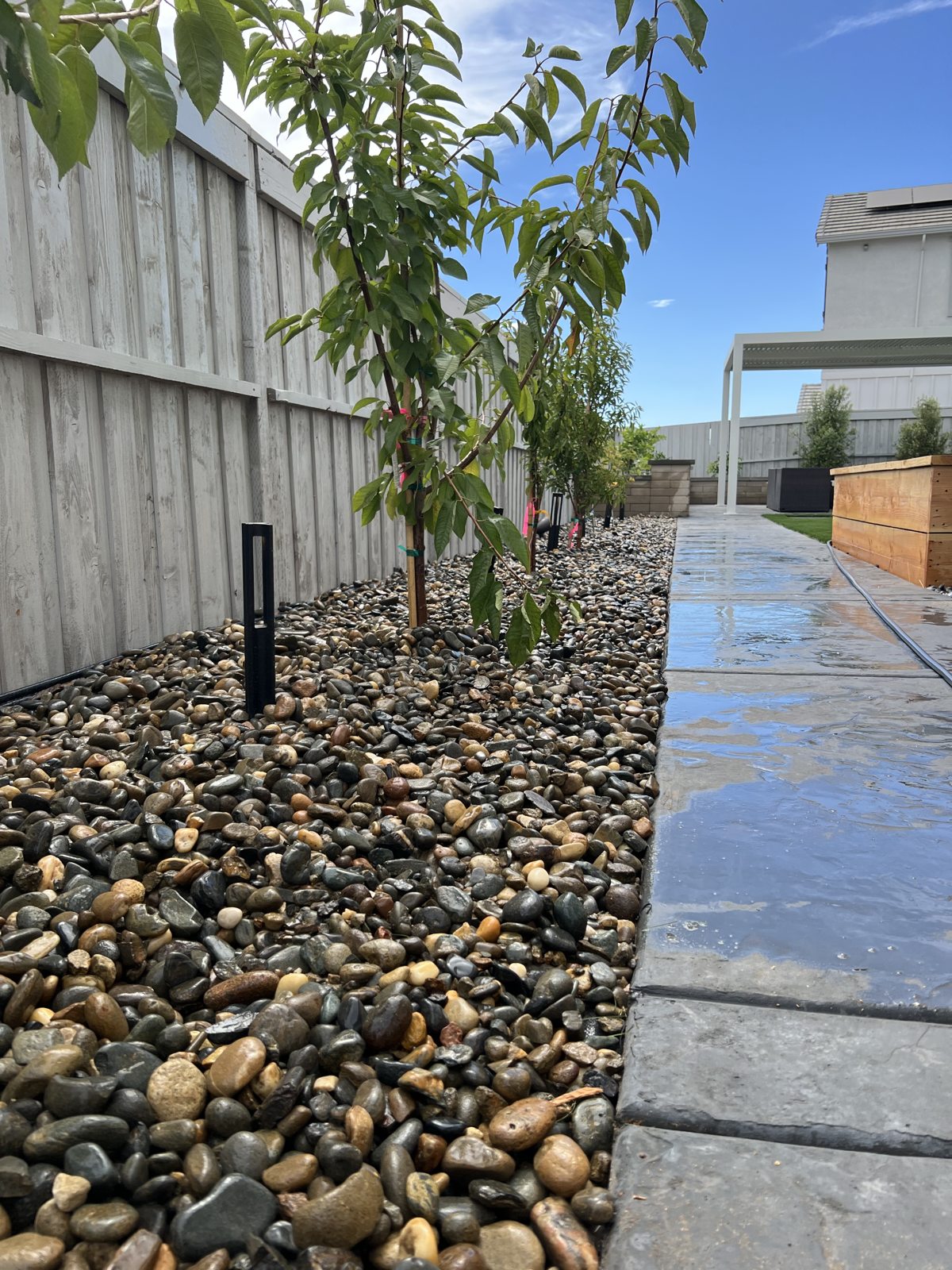 Trees and decorative stone beside a garden path