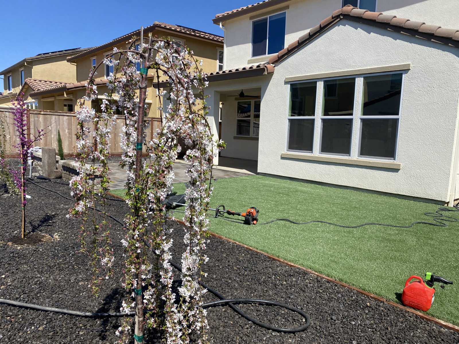 A flowering tree introduces height and seasonal interest beside the green yard.