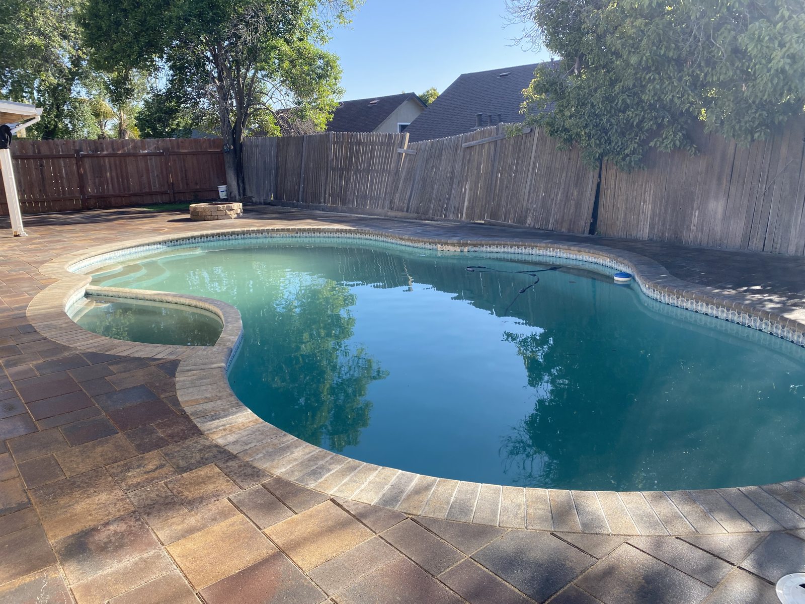 The curved pool edge sits against a textured paver deck and wood-fence backdrop.