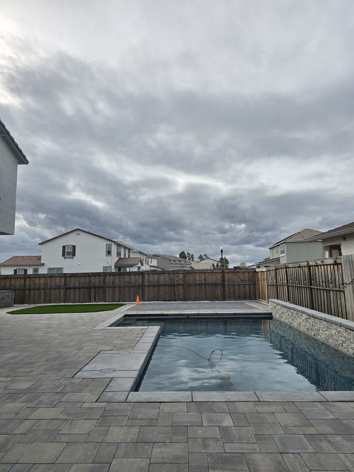 Crisp pool edges and gray pavers form a balanced, contemporary backyard.