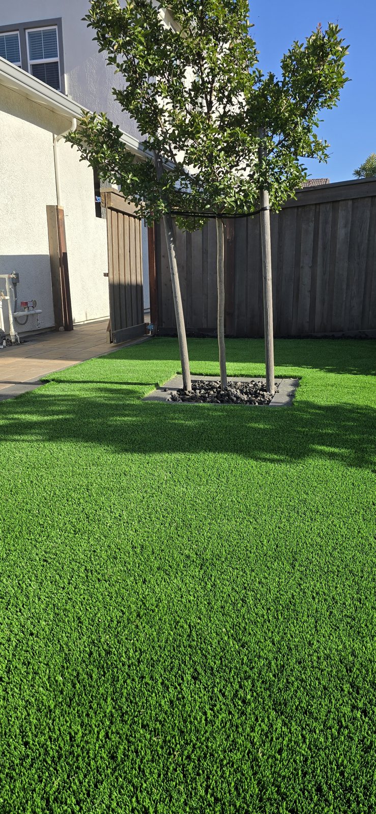 Planting & Irrigation
