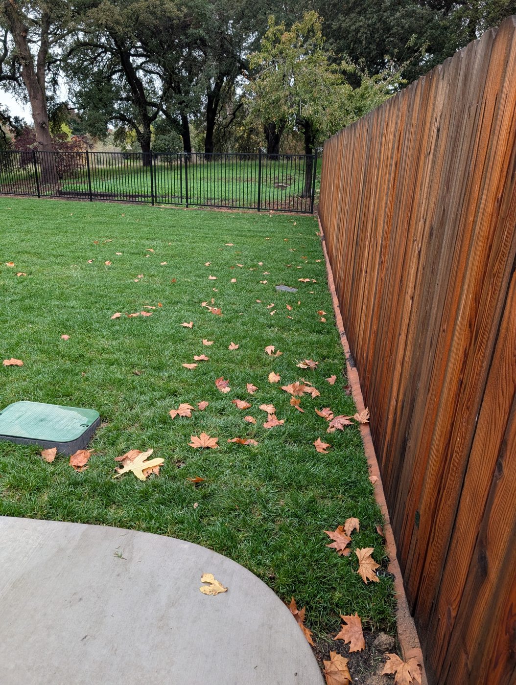 Warm wood tones create a natural backdrop to the green garden lawn.
